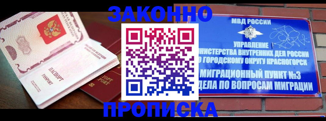прописка для школы в Ленинградской области